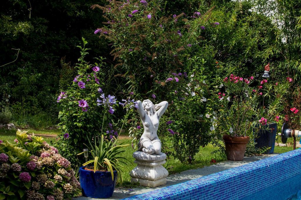Villa Sonnenschein Hévíz Стая снимка
